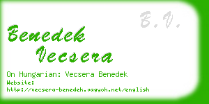 benedek vecsera business card